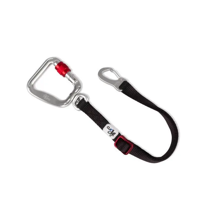 Meilleurs prix pour Ceinture de sécurité pour chien Curli V2