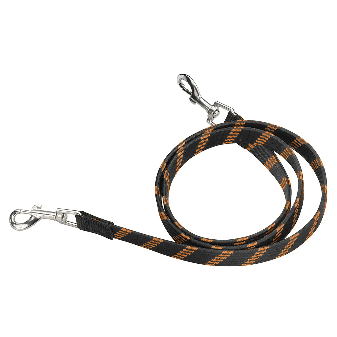 Comparer les prix de Laisse pour chien élastique D&D Home Active walker
