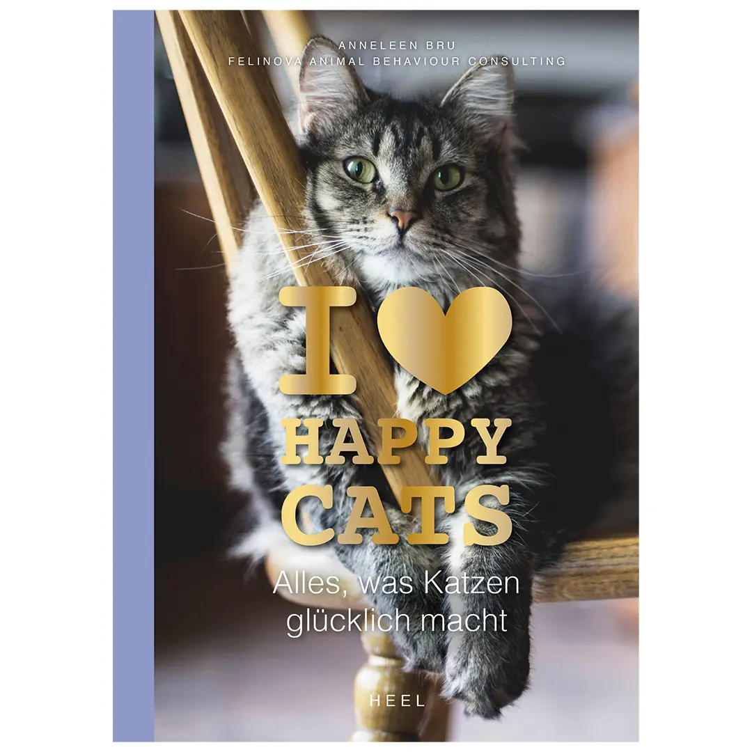 Meilleurs prix pour Livre D&D Home I Love Happy Cats