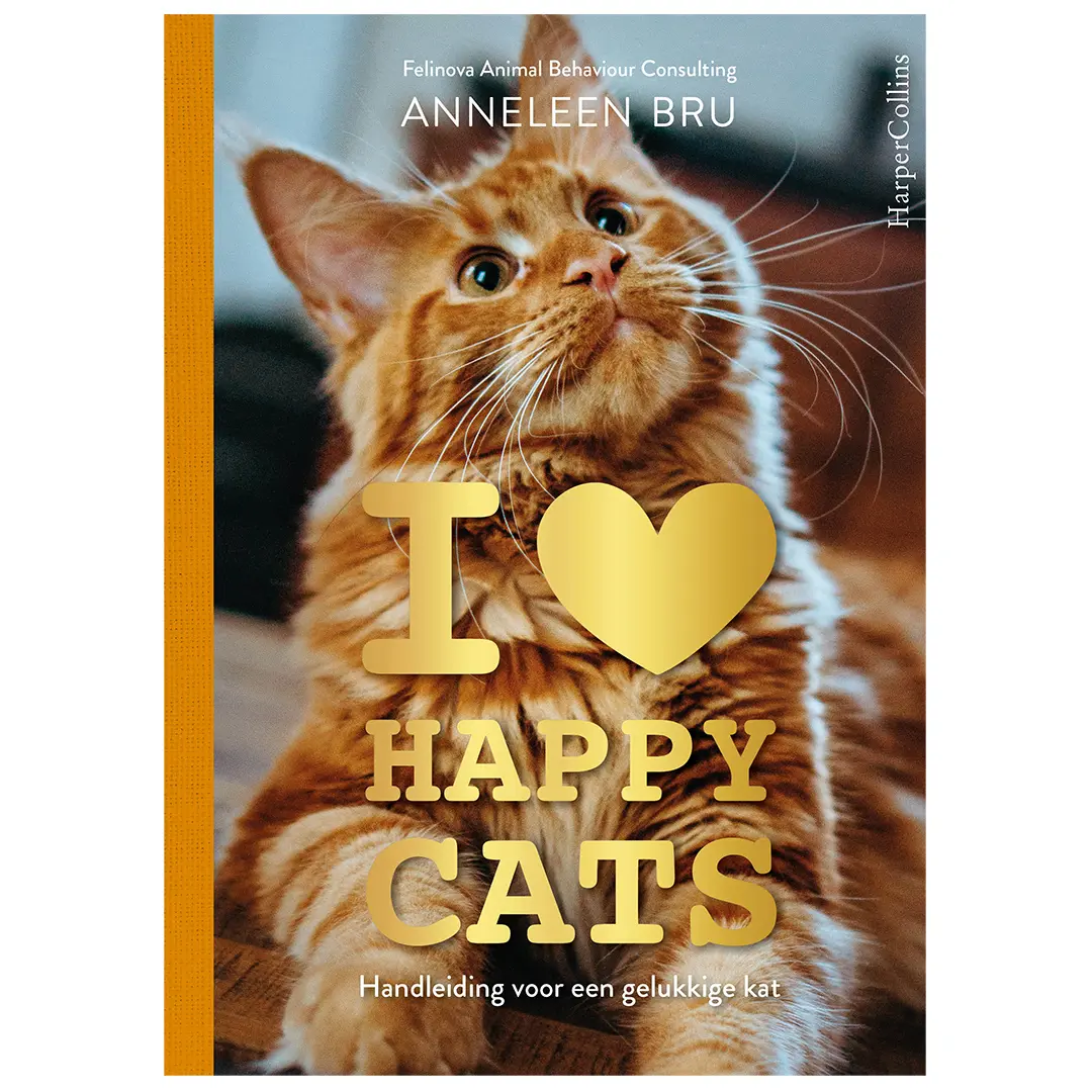 Meilleurs prix pour Livre LND D&D Home I Love Happy Cats