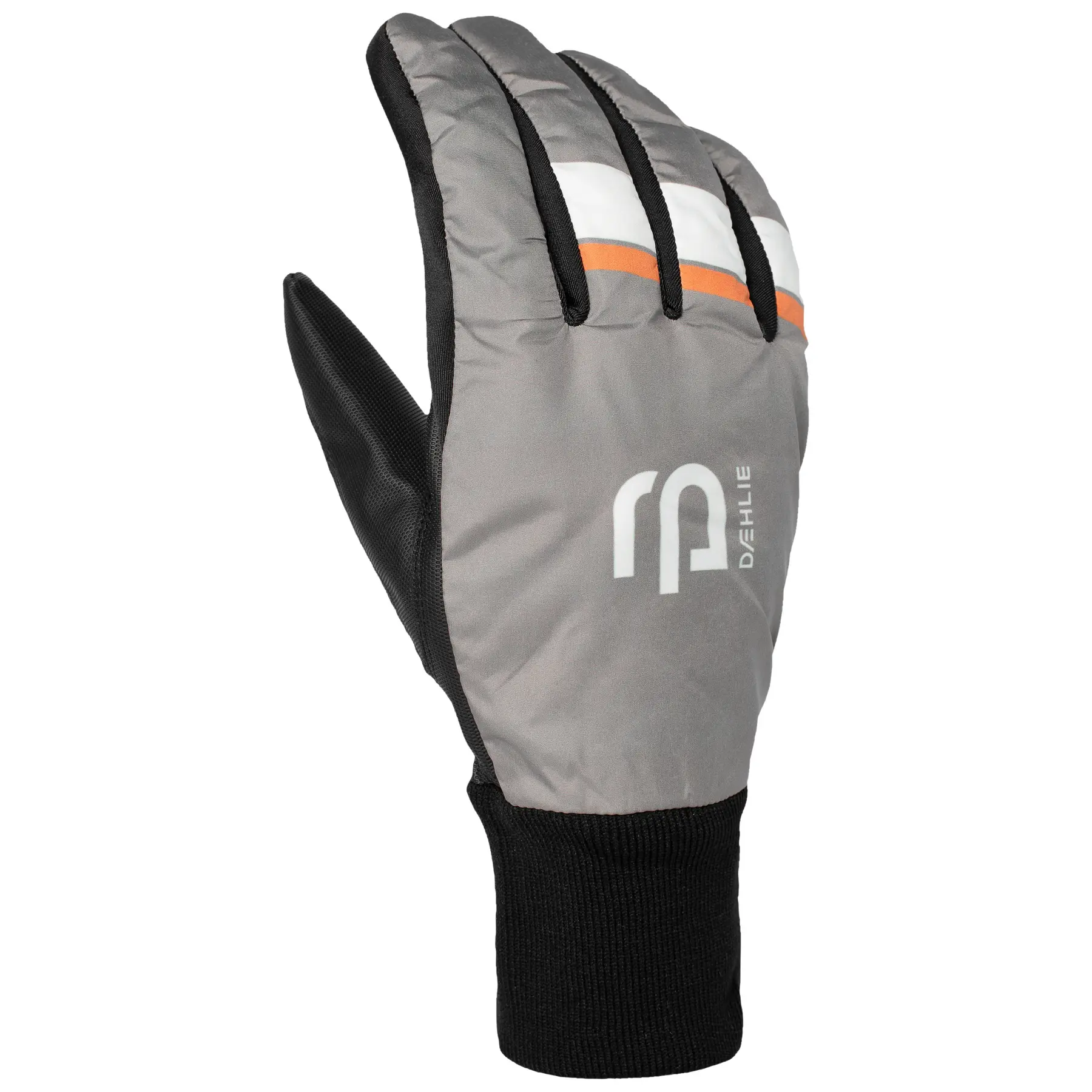 Skihandschuhe Daehlie Sportswear Motion