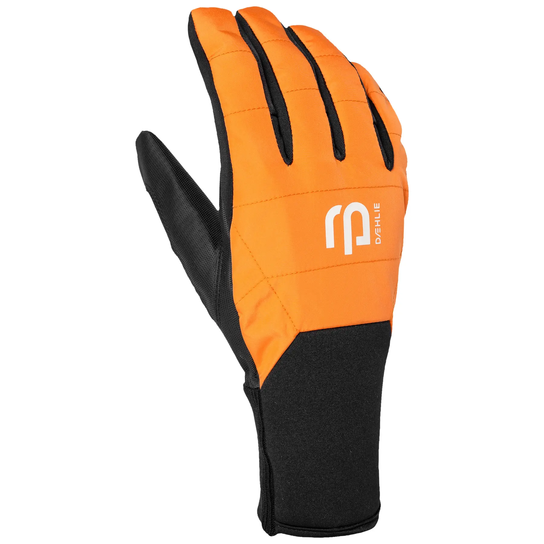 Skihandschuhe Daehlie Sportswear Pace