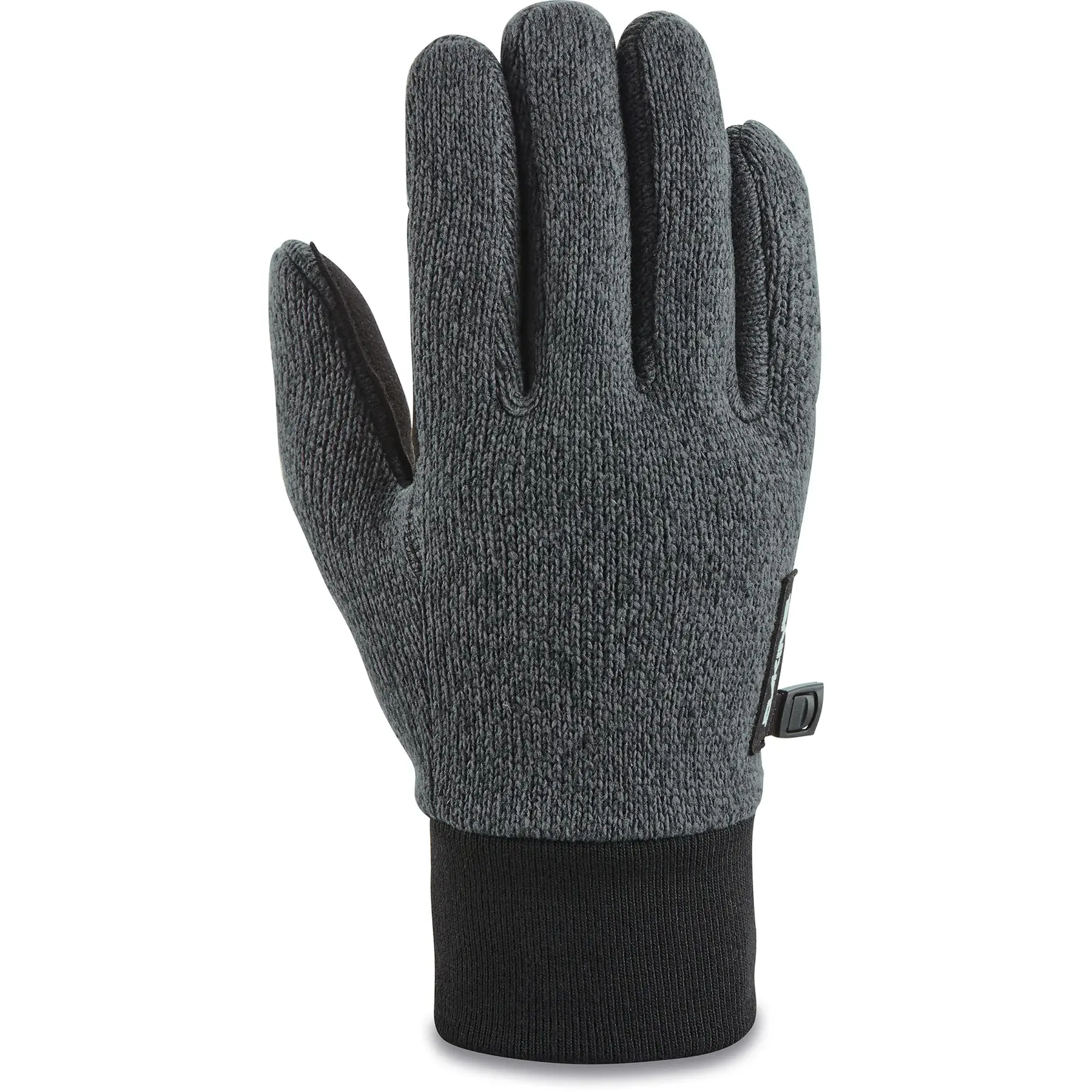Skihandschuhe Dakine Apollo