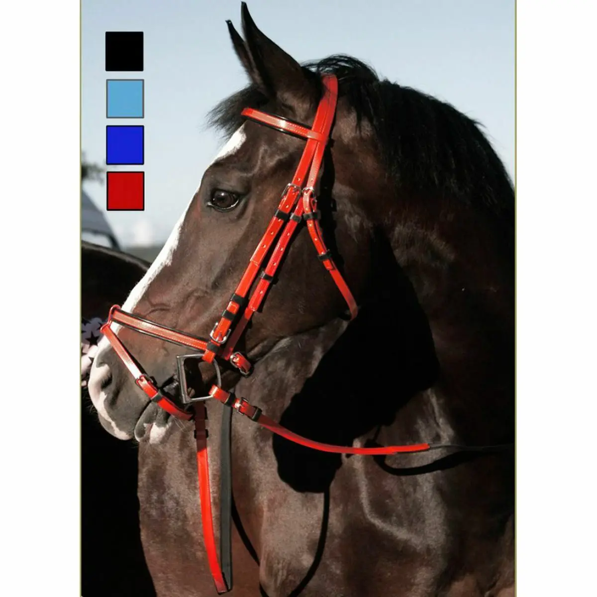 Daslö Noir Bridles For Horse Pvc Rubber Reins