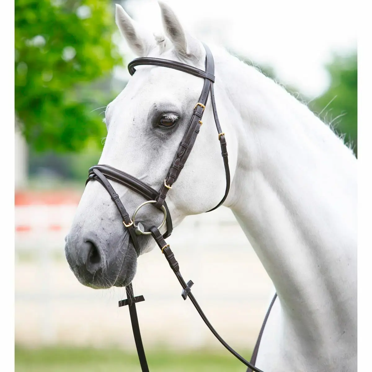 Daslö Marron Crossed Noseband Headpiece
