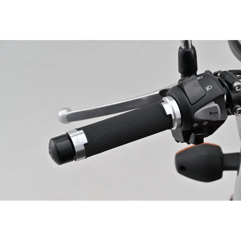 Griffe mit Alu Daytona GGDM-Base