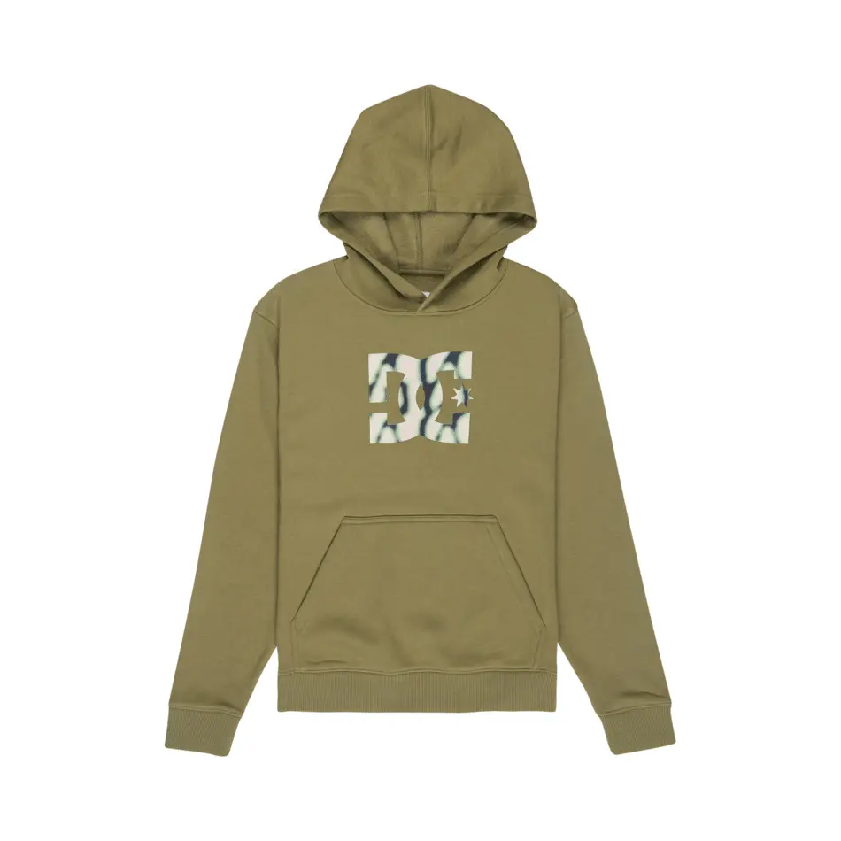 Kinder Kapuzenpullover DC Shoes Star Filled