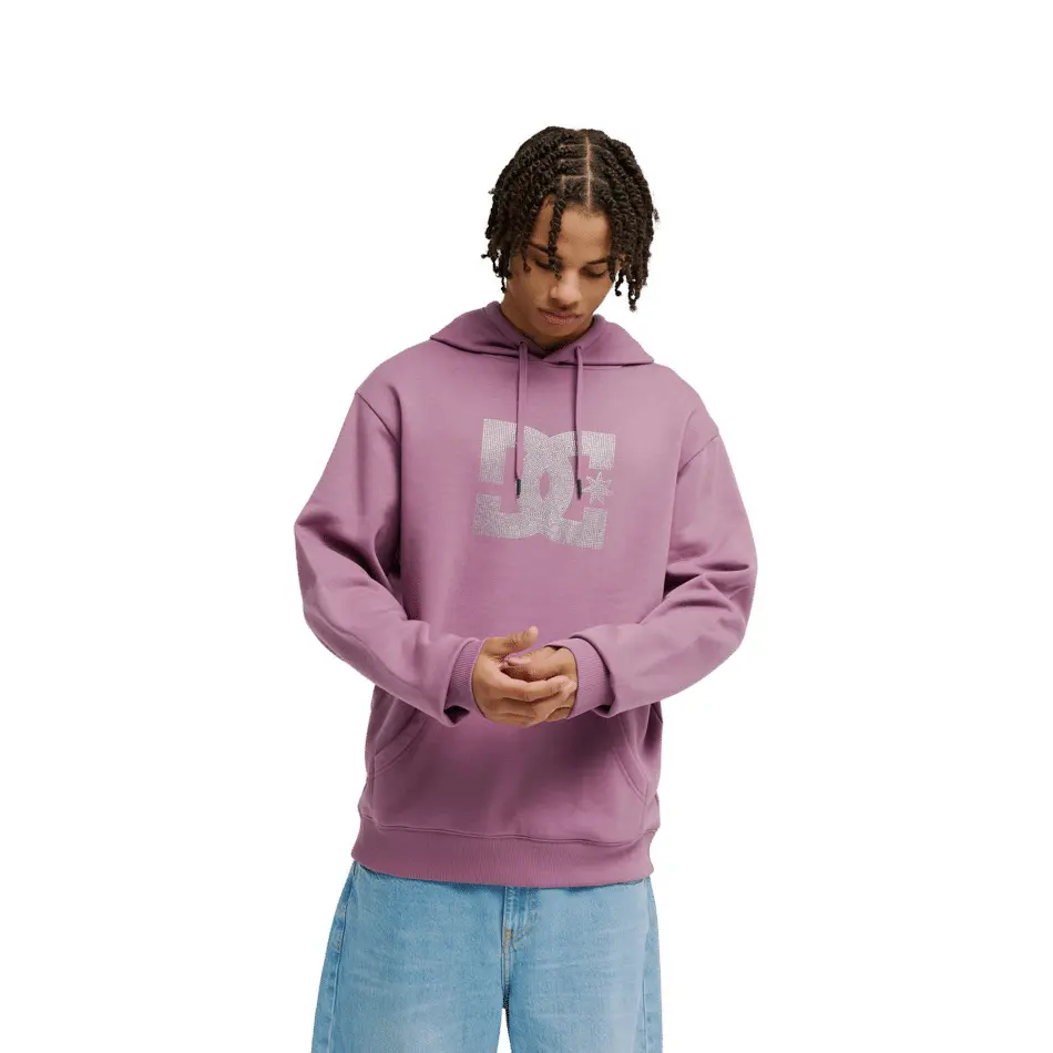 Kapuzensweatshirt DC Shoes Strass Star