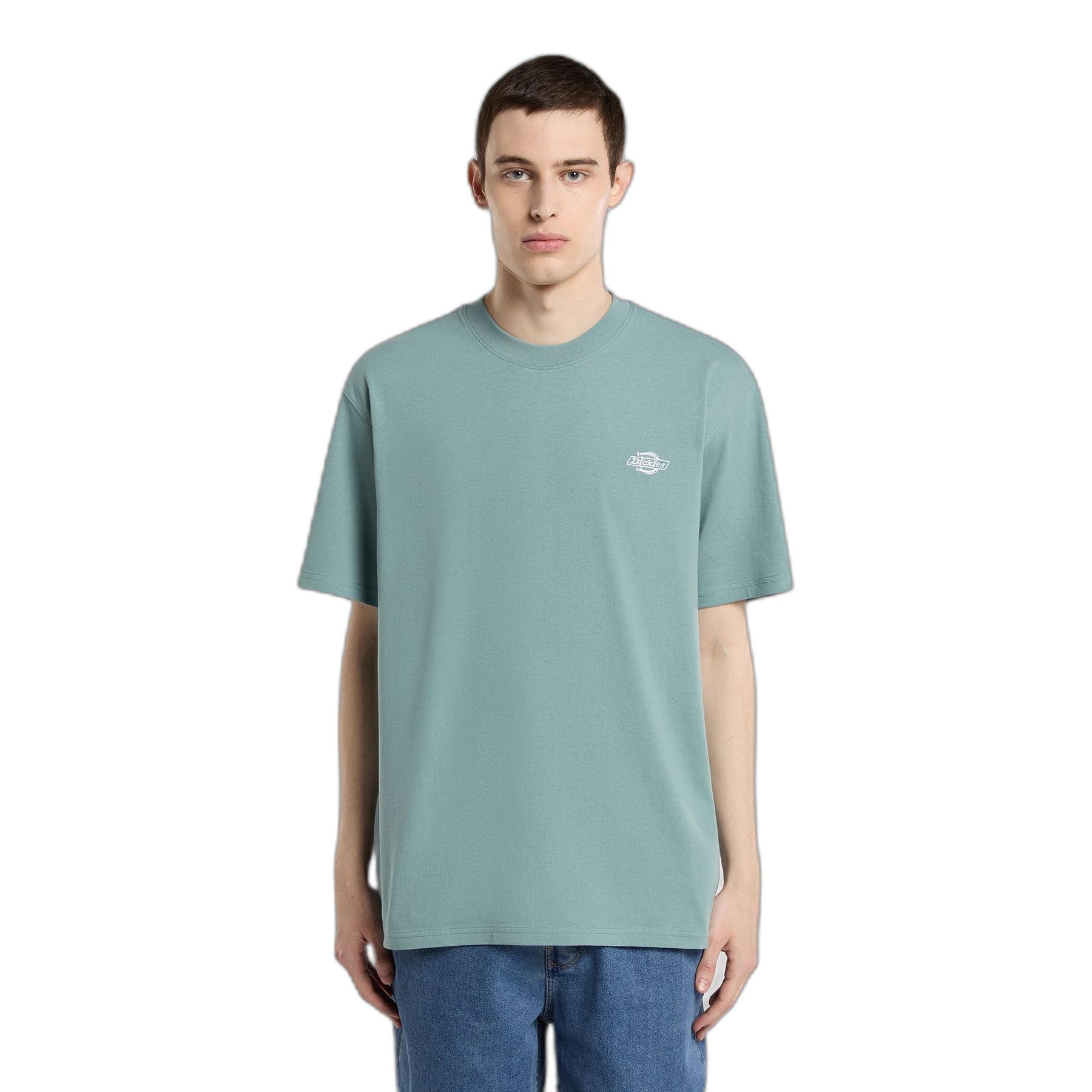 0196012990221 - T-Shirt Summerdale