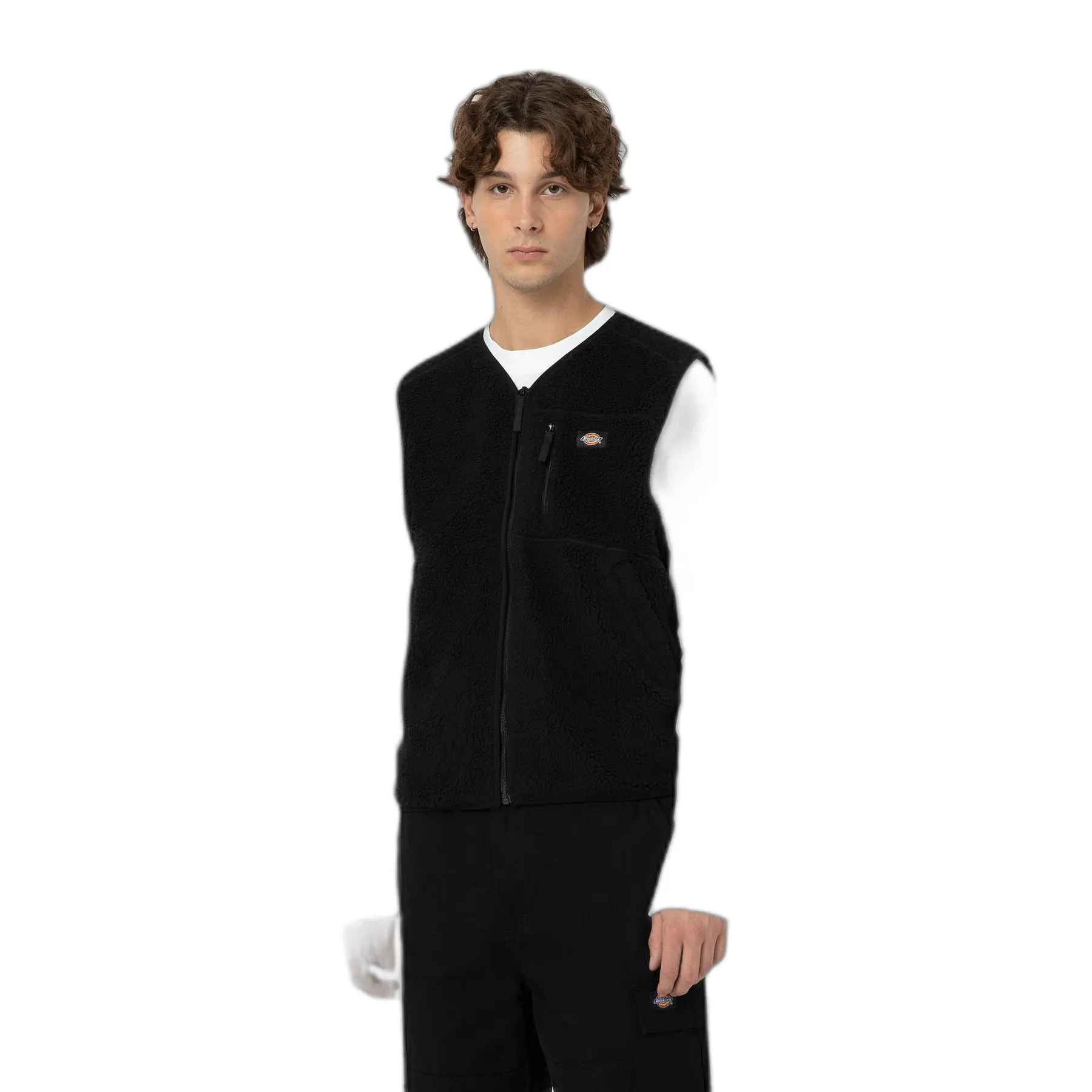 Veste Dickies Mount Hope