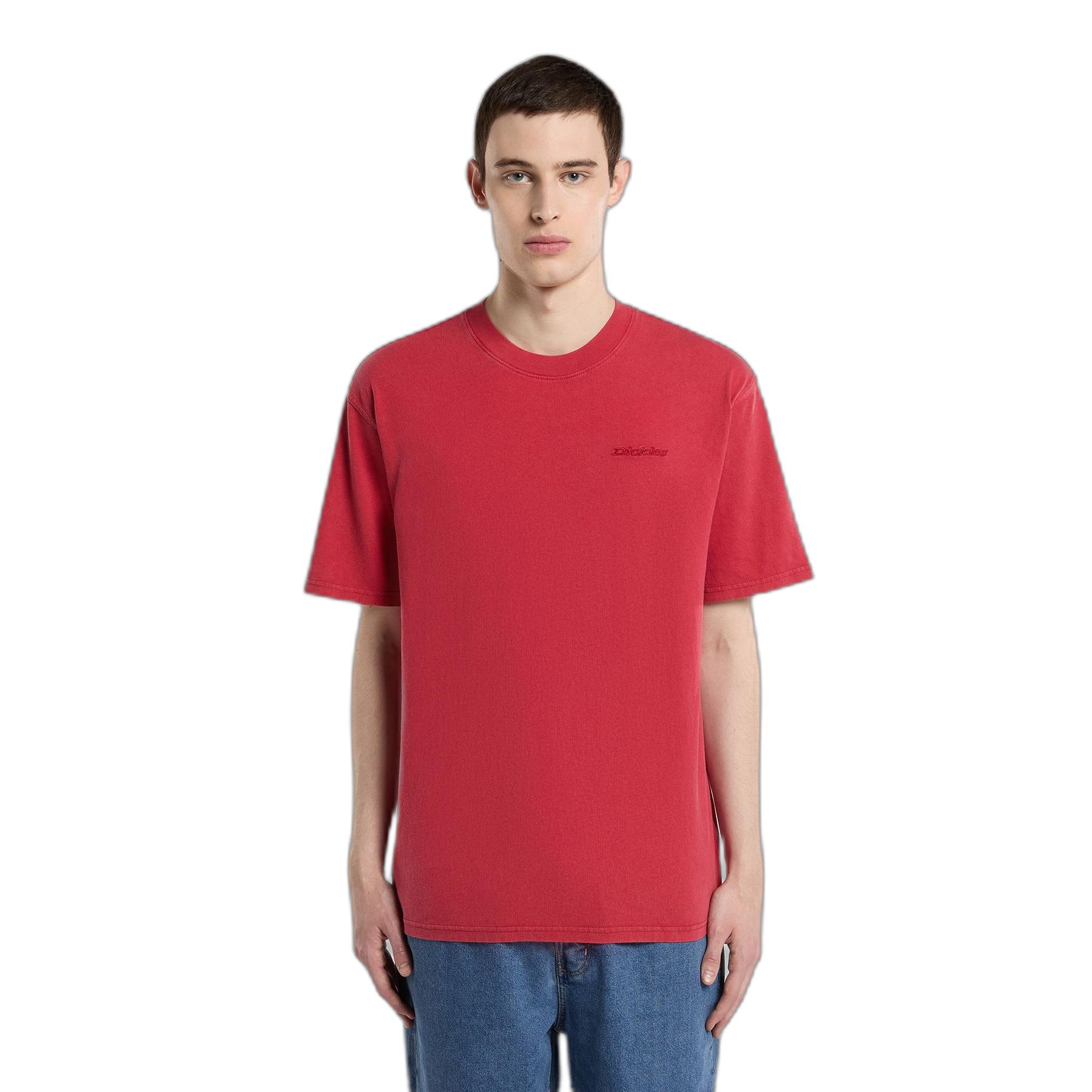 0196012922925 - T-Shirt Plentywood