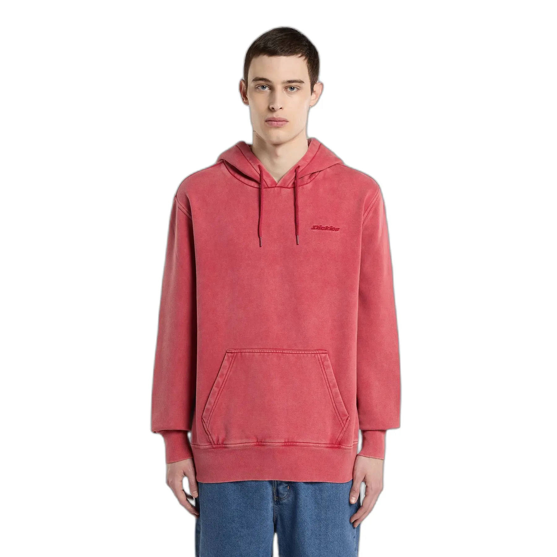 Kapuzensweatshirt Dickies Plentywood