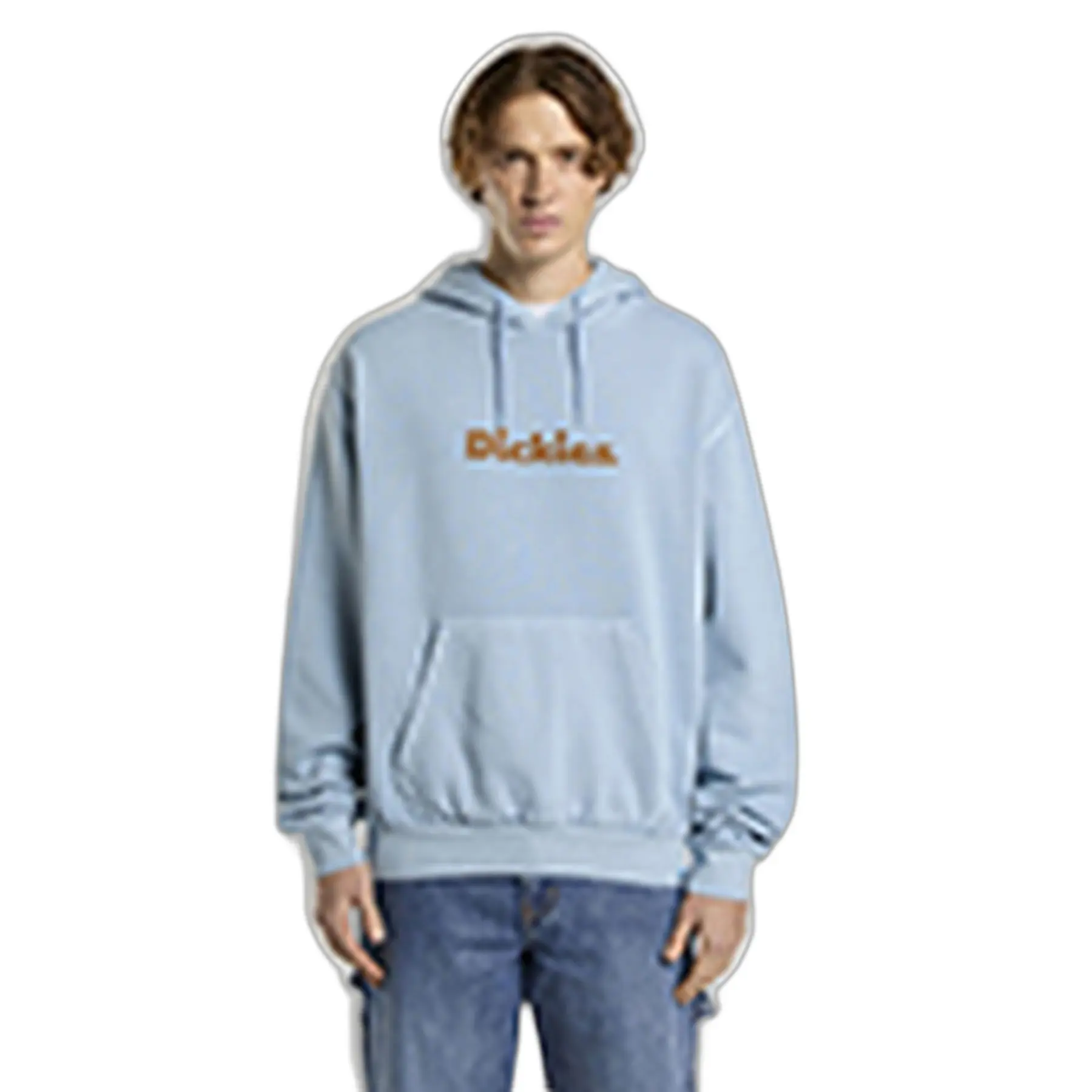 Kapuzensweatshirt Dickies Slayden GD