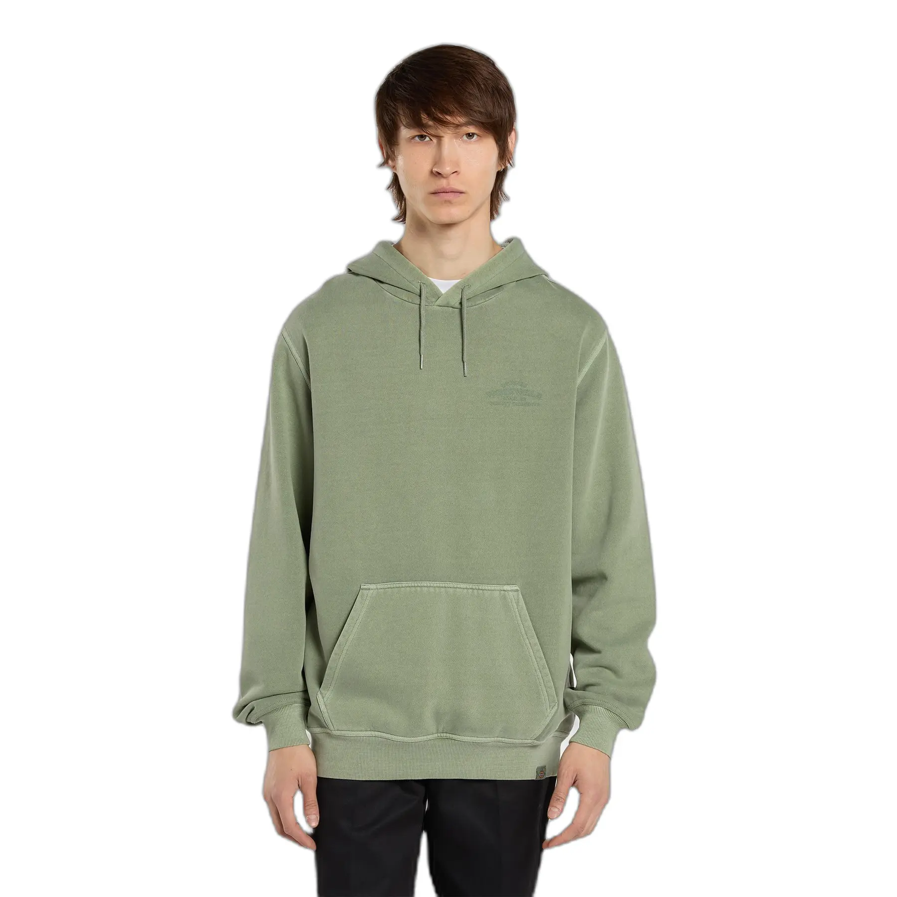 Kapuzensweatshirt Dickies Christiana GD