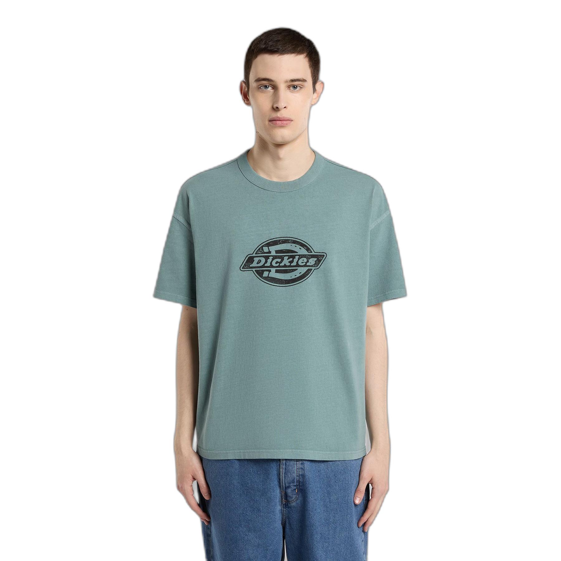 0196012947355 - T-Shirt Plainville