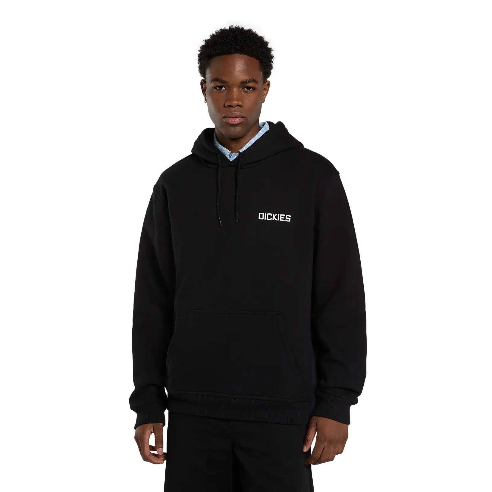 0196013911034 - Hoodie Payson