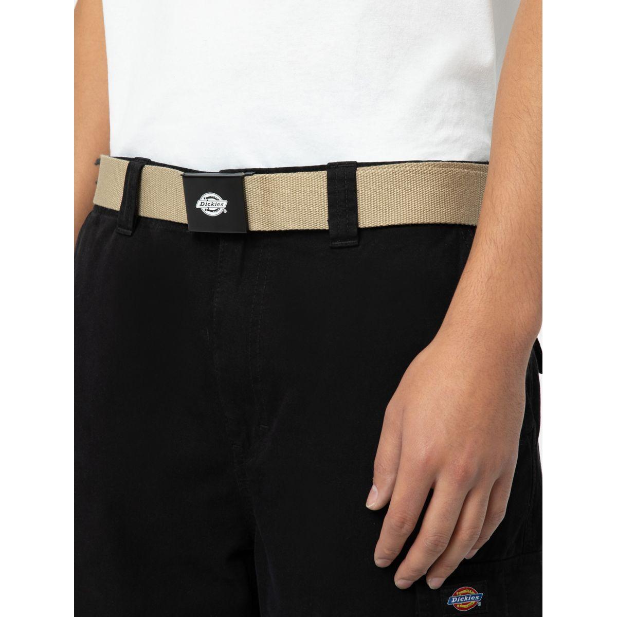 product/d/i/dickies_dk0a4x7ekhk1_2.jpg