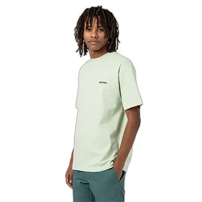 T-Shirt mit kurzen Ärmeln Dickies Loretto