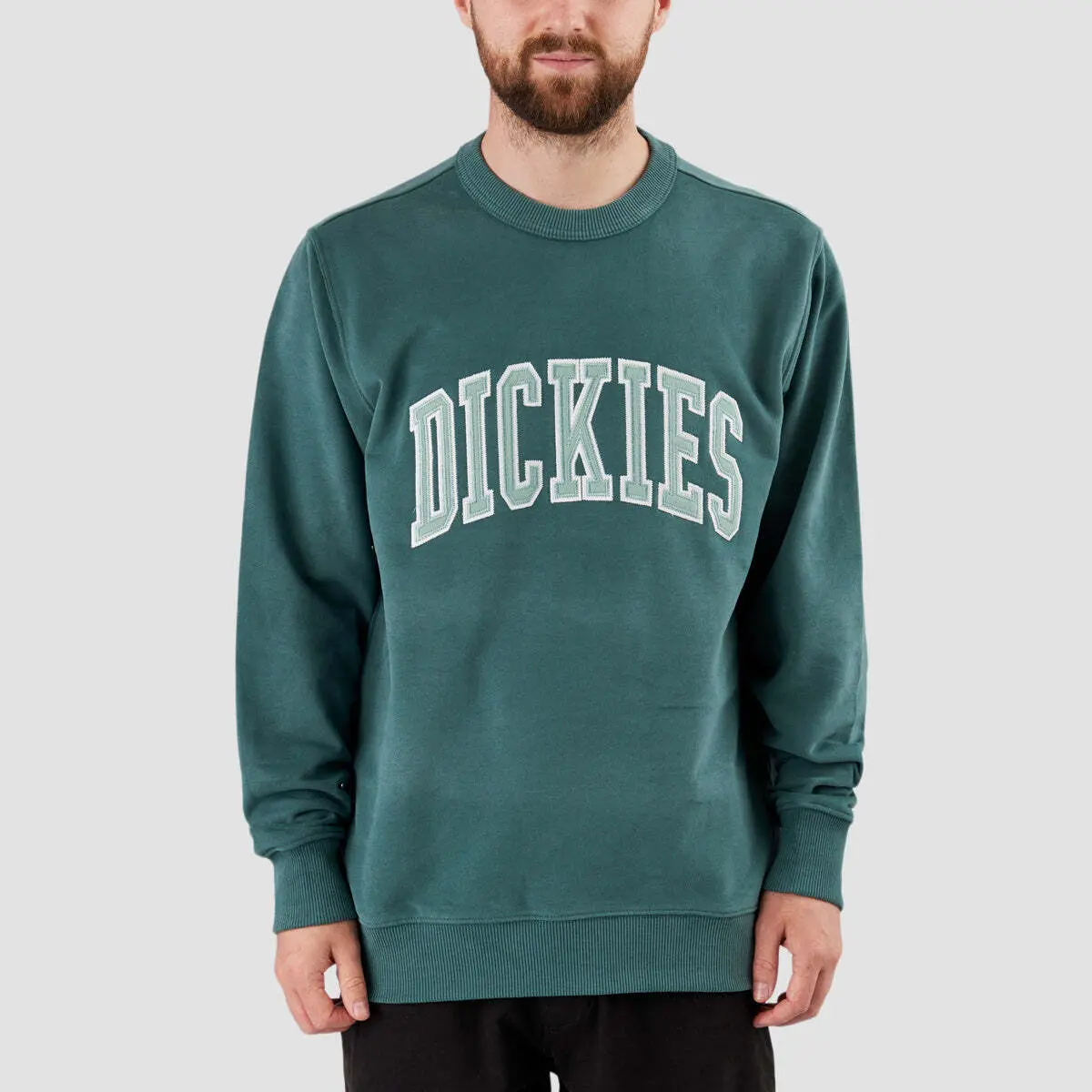 product/d/i/dickies_dk0a4xabj951_lincoln-green-surf-blue_2.jpg