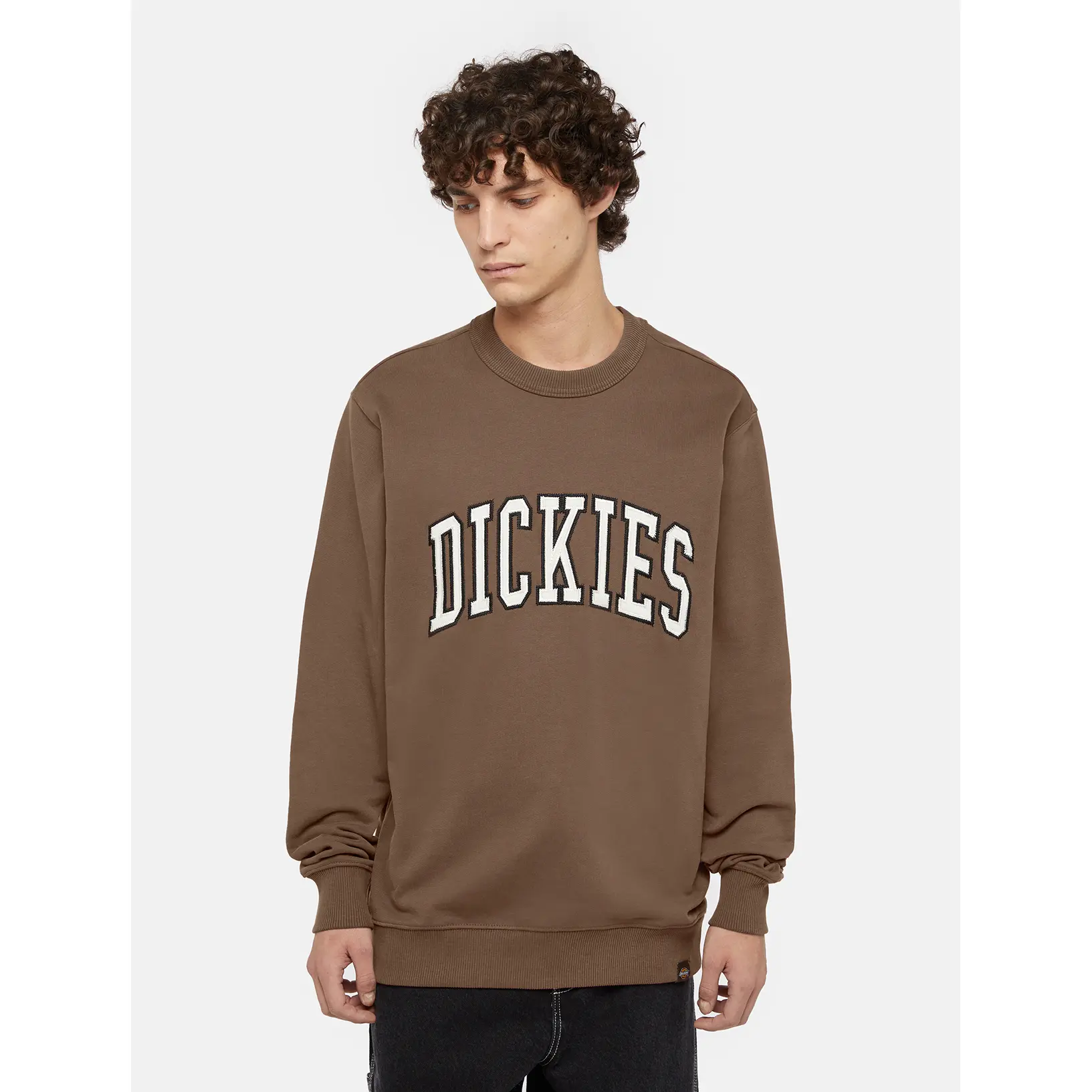 product/d/i/dickies_dk0a4xabj961_mushroom-cloud_3.jpg