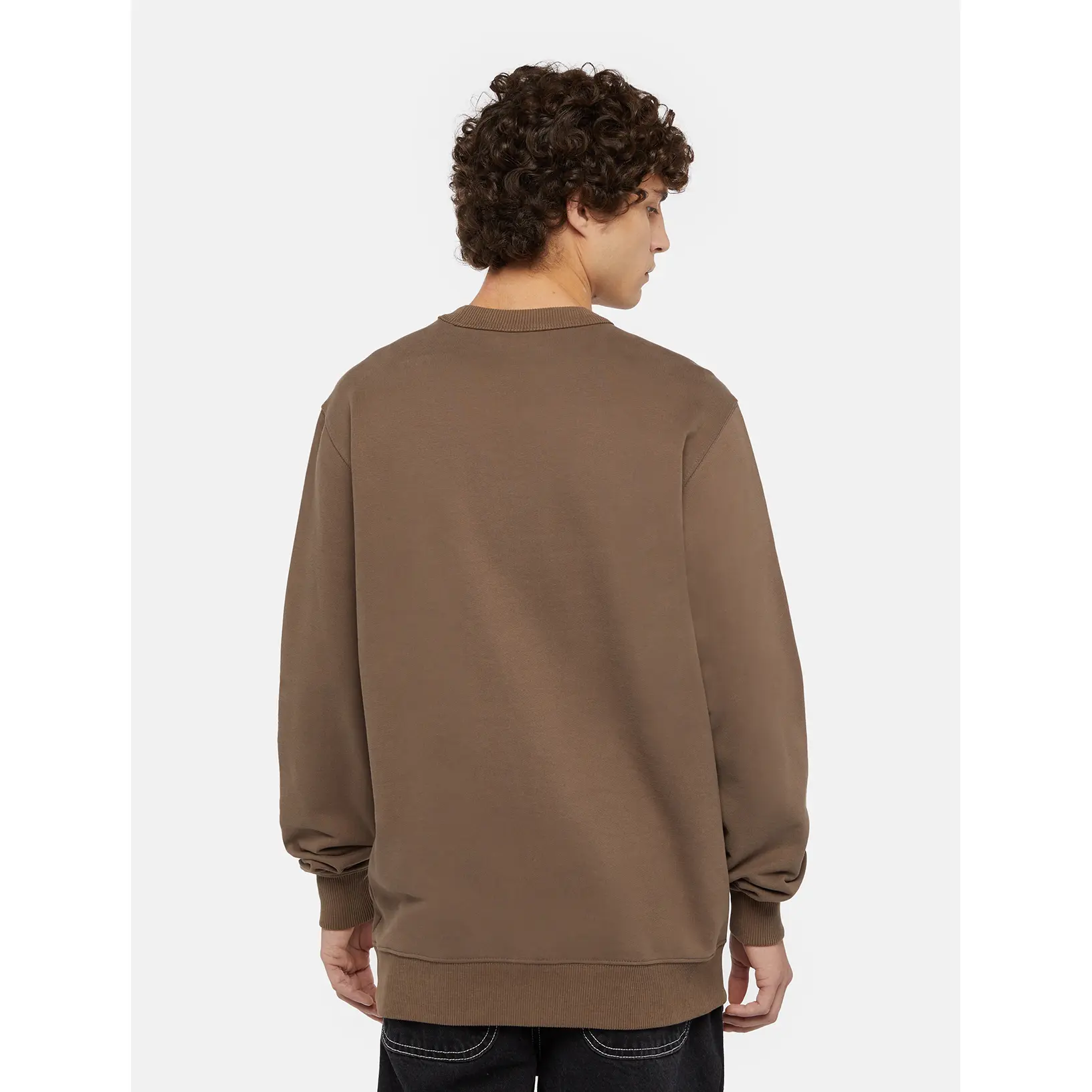 product/d/i/dickies_dk0a4xabj961_mushroom-cloud_4.jpg