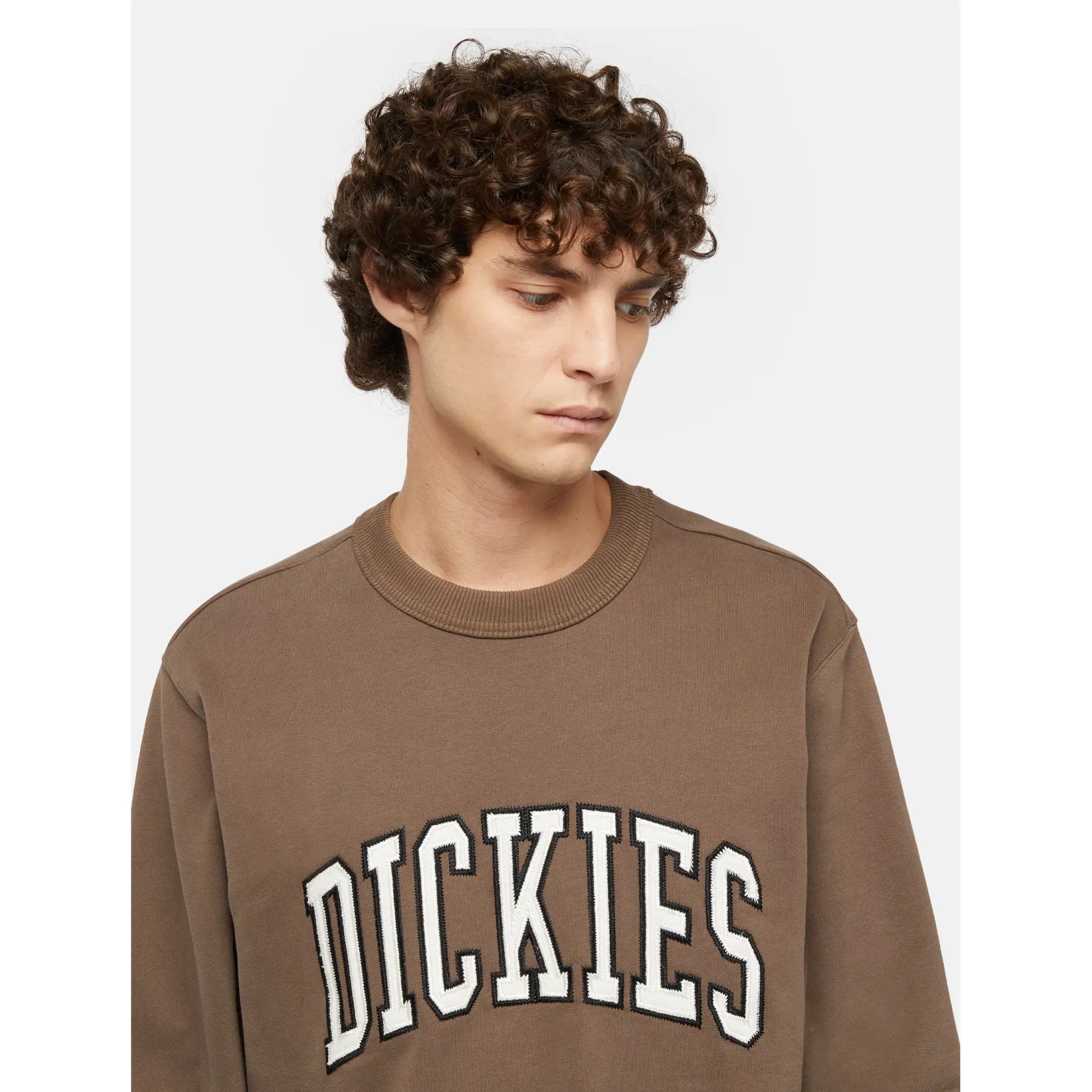 product/d/i/dickies_dk0a4xabj961_mushroom-cloud_6.jpg