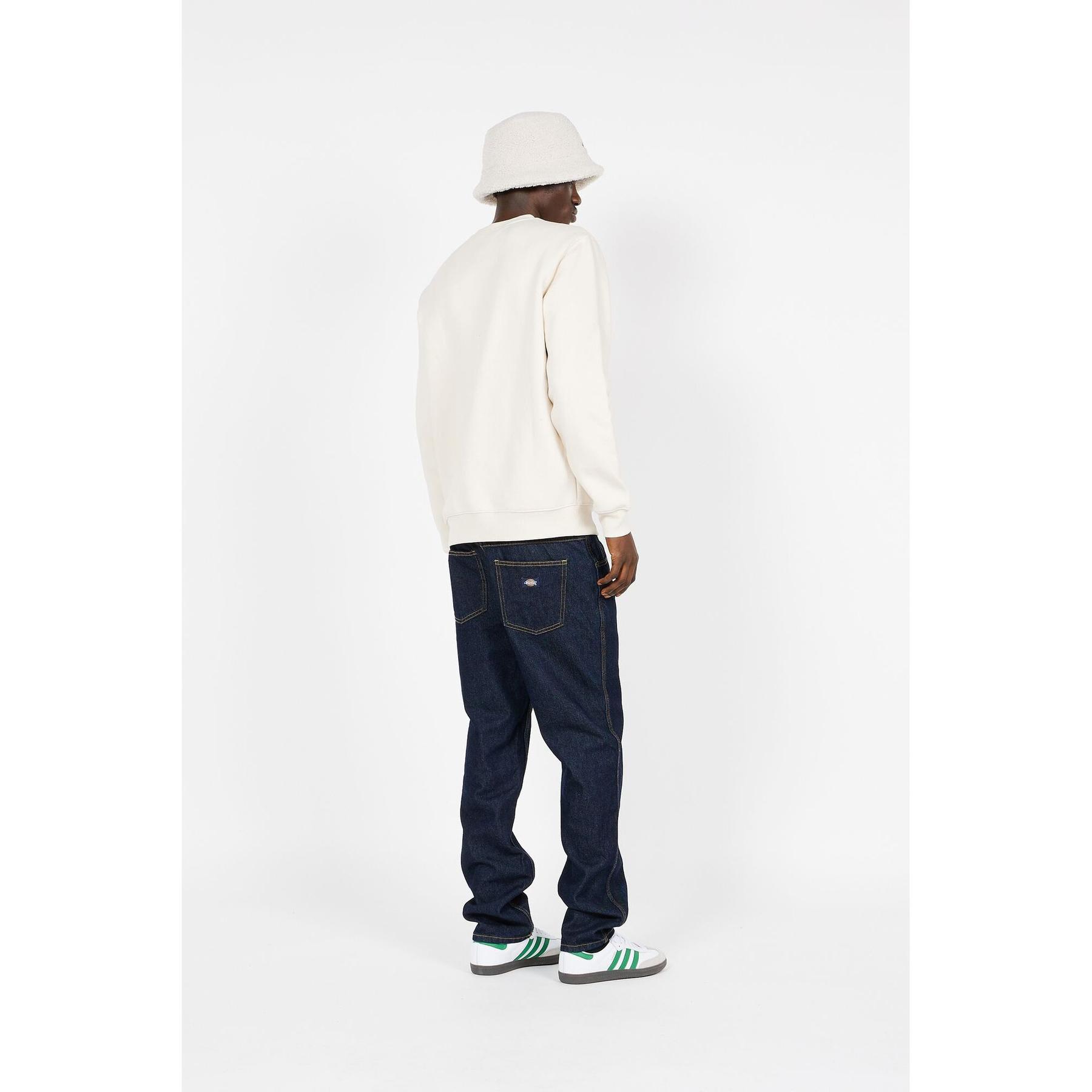 product/d/i/dickies_dk0a4xcef901_3.jpg