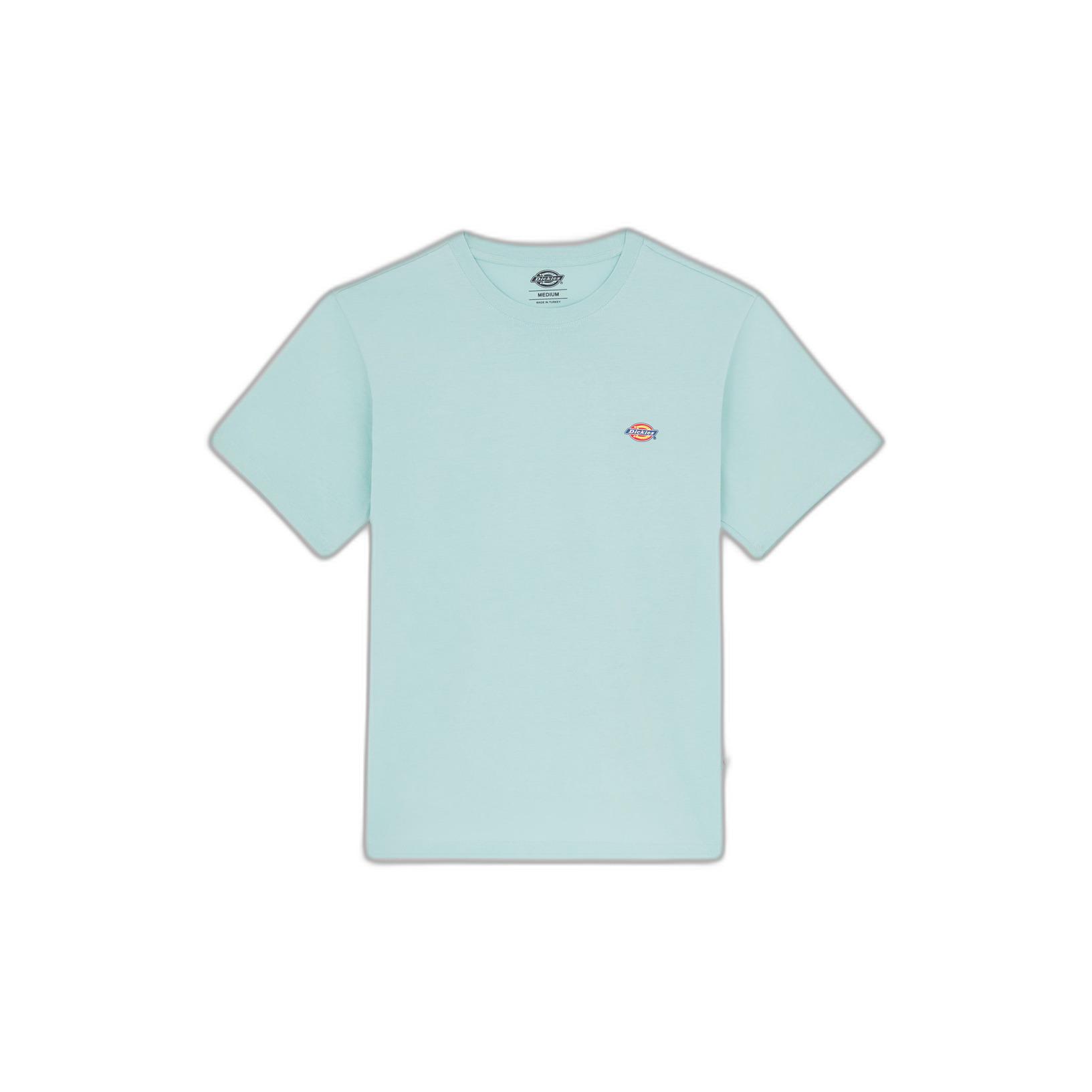 0196010863701 - T-Shirt Dickies