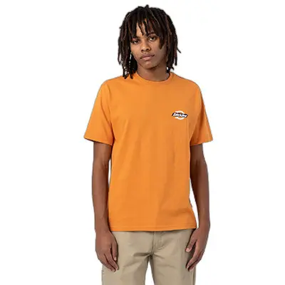 T-Shirt mit kurzen Ärmeln Dickies Ruston