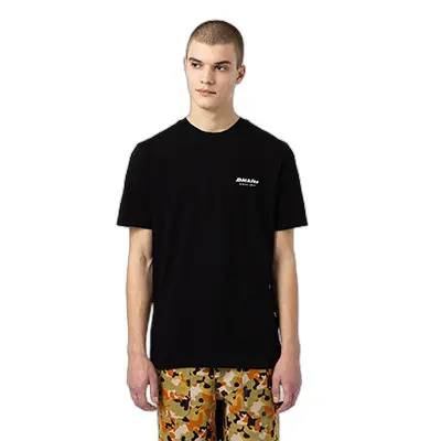 T-Shirt mit kurzen Ärmeln Dickies Artondale Box