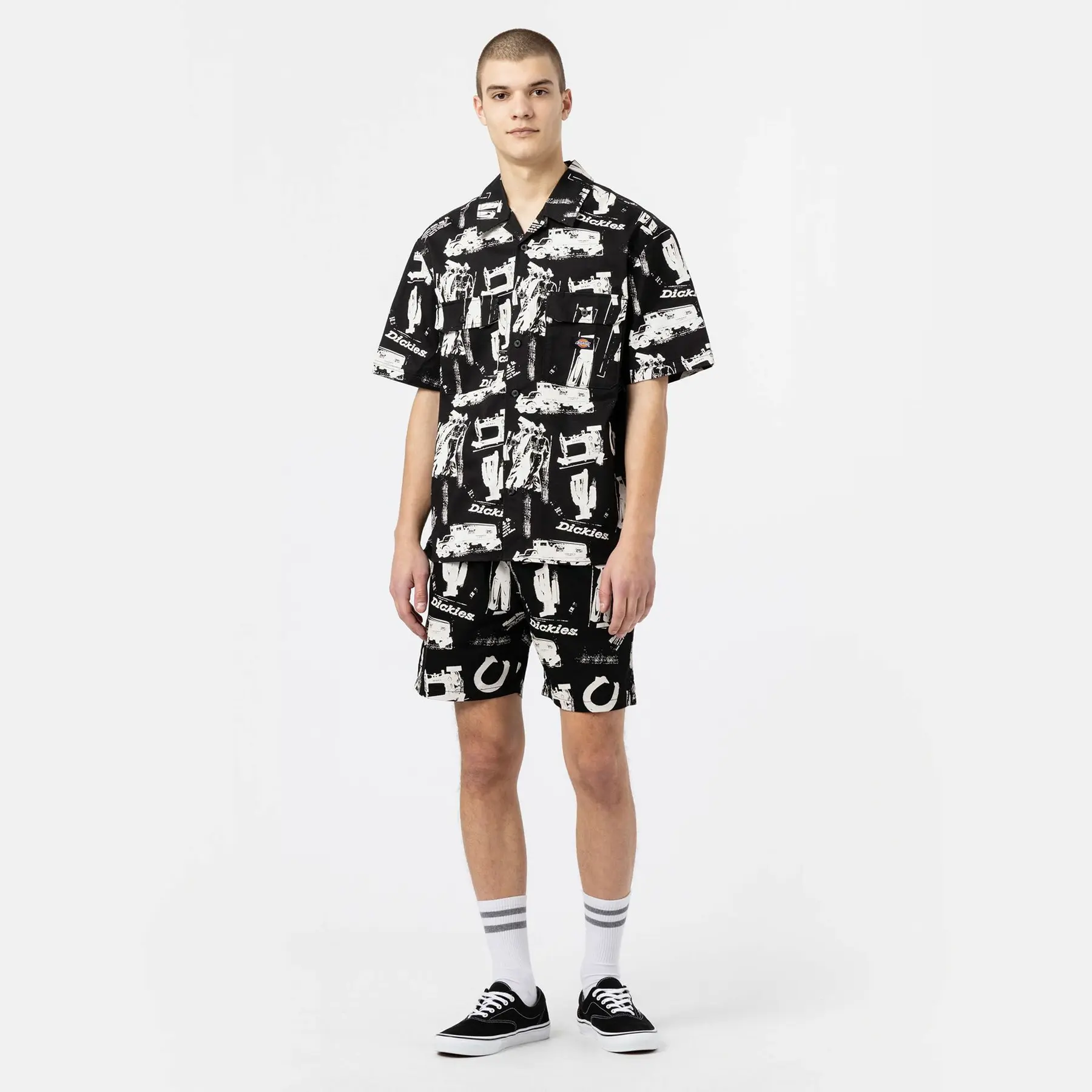 Shorts Dickies