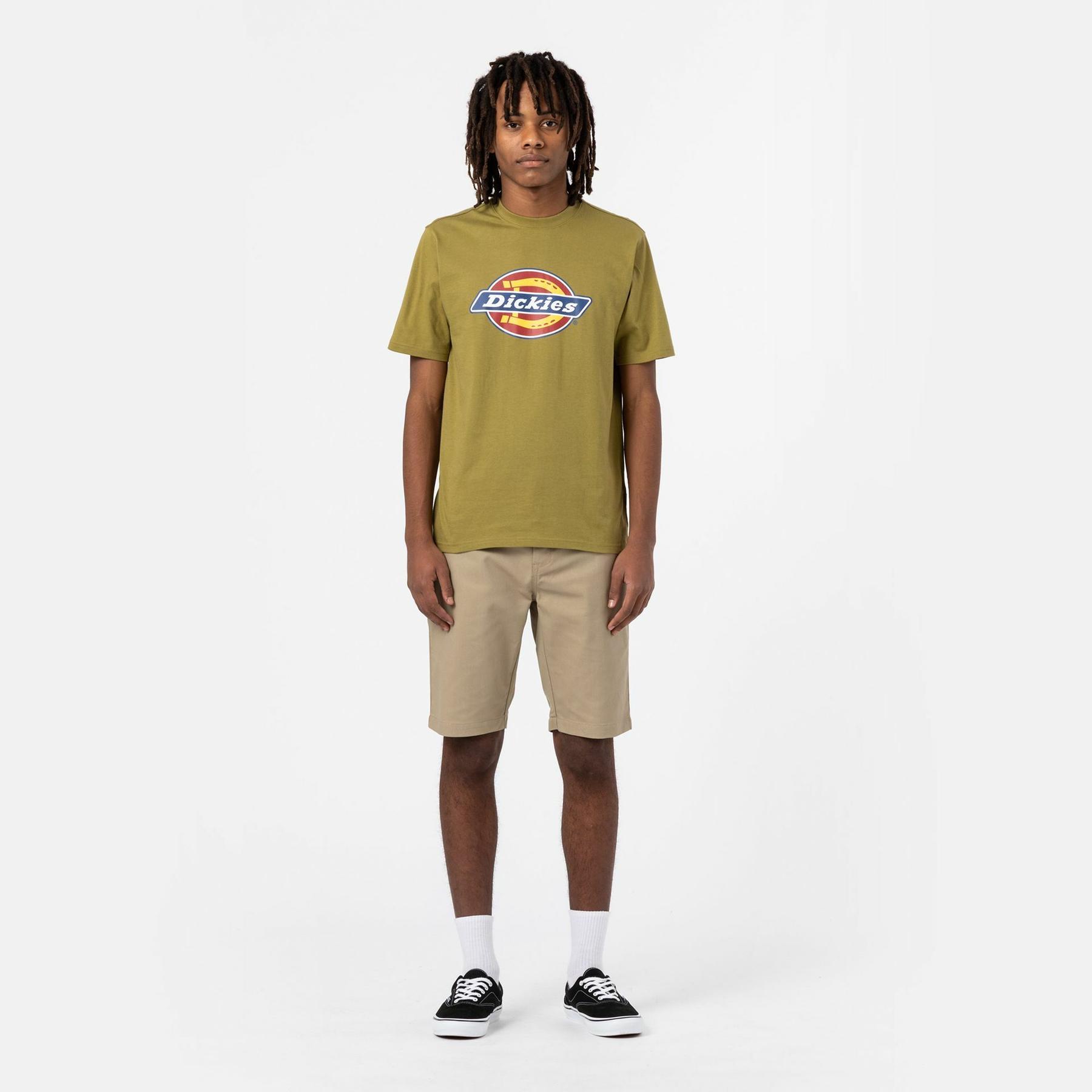0196009107076 - Shorts Dickies