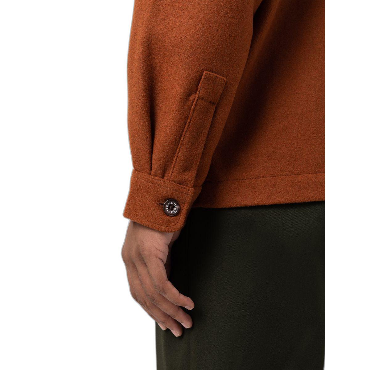 product/d/i/dickies_dk0a4xzr-iex_mag3967808_6.jpg