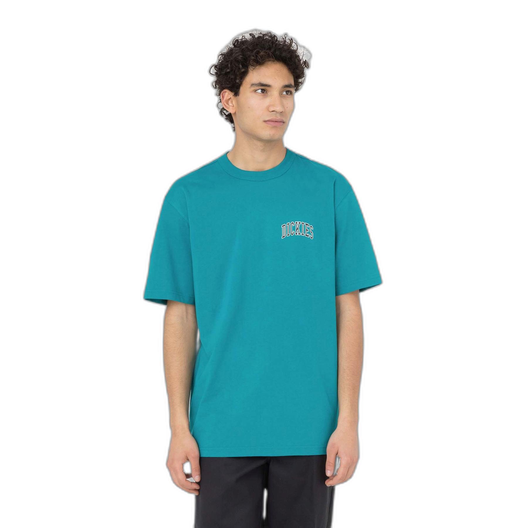 0196246623780 - T-Shirt Dickies 0196246623780 - T-Shirt Dickies