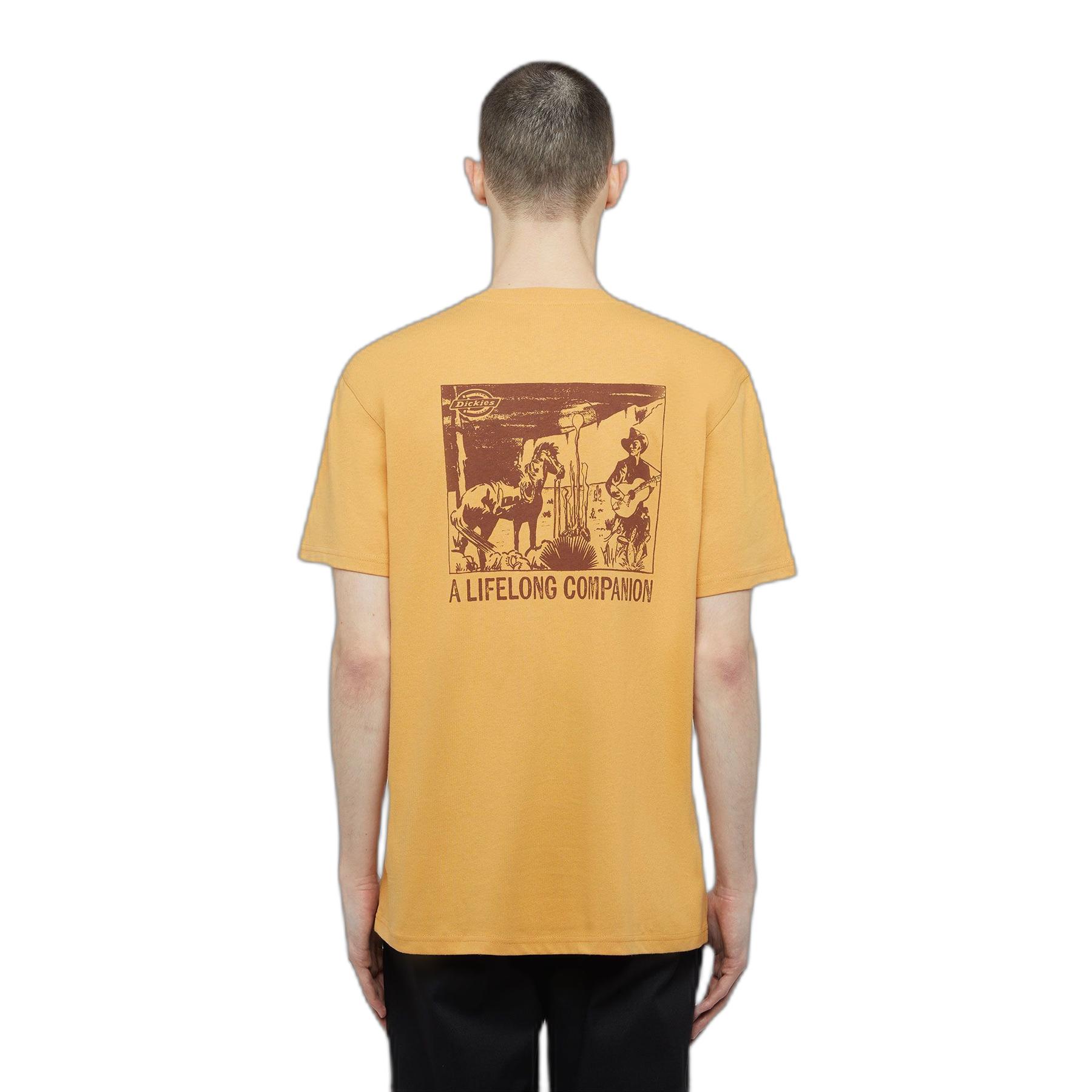 0196011930204 - T-Shirt Companion