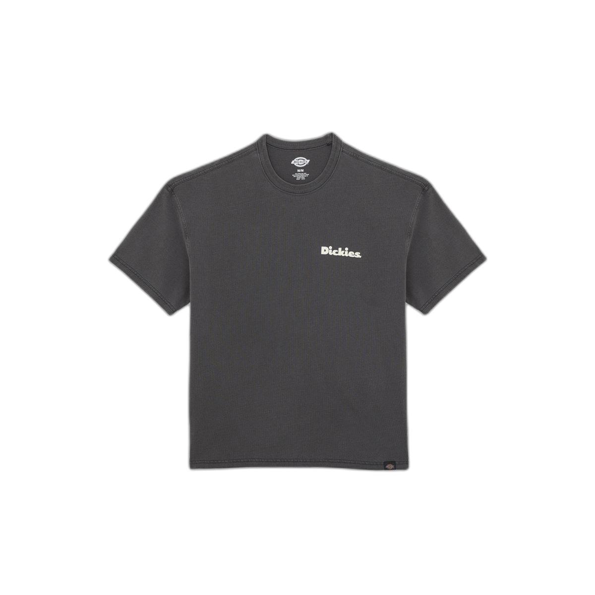 T-shirt Dickies Slayden