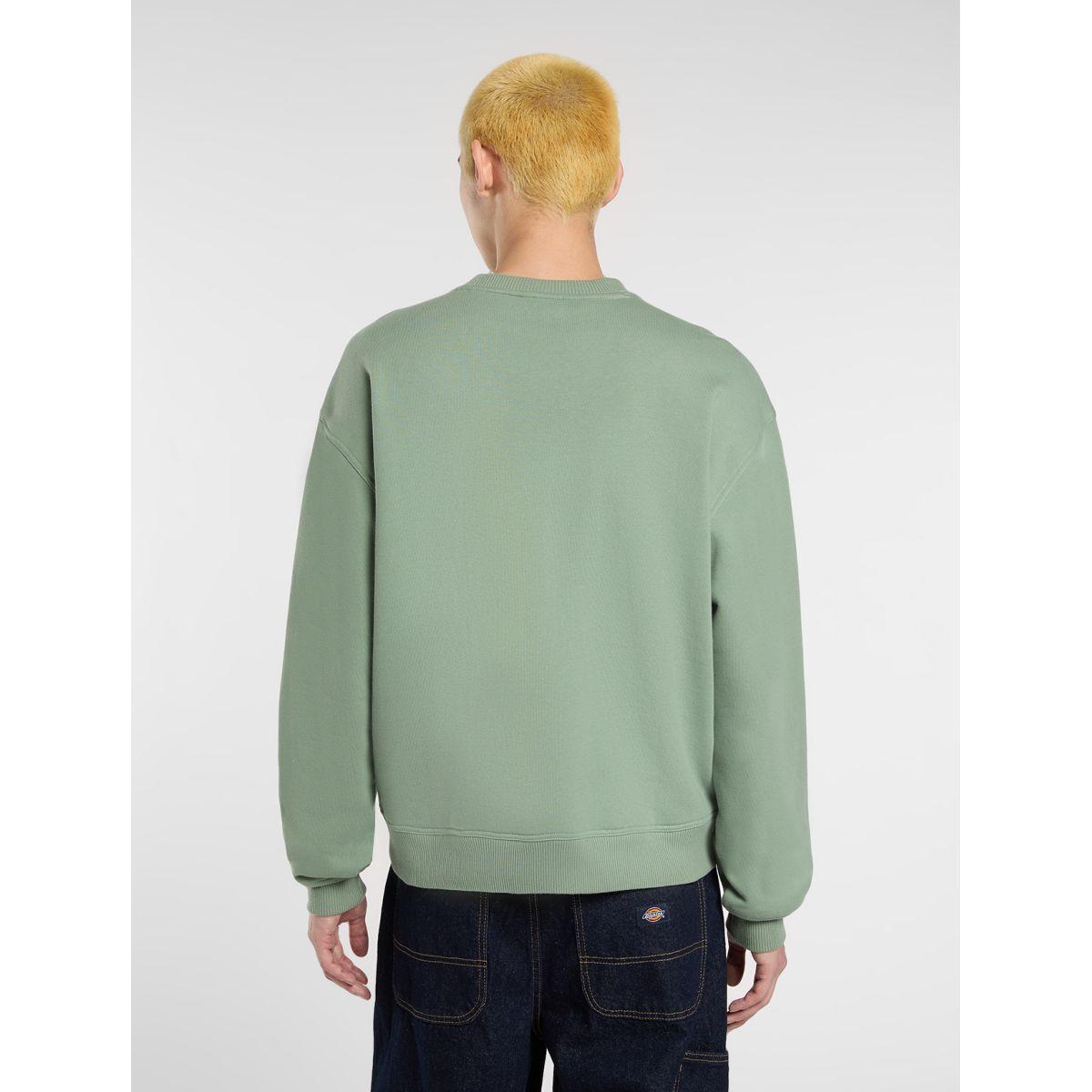 product/d/i/dickies_dk0a88bll191_sea-spray_3.jpg