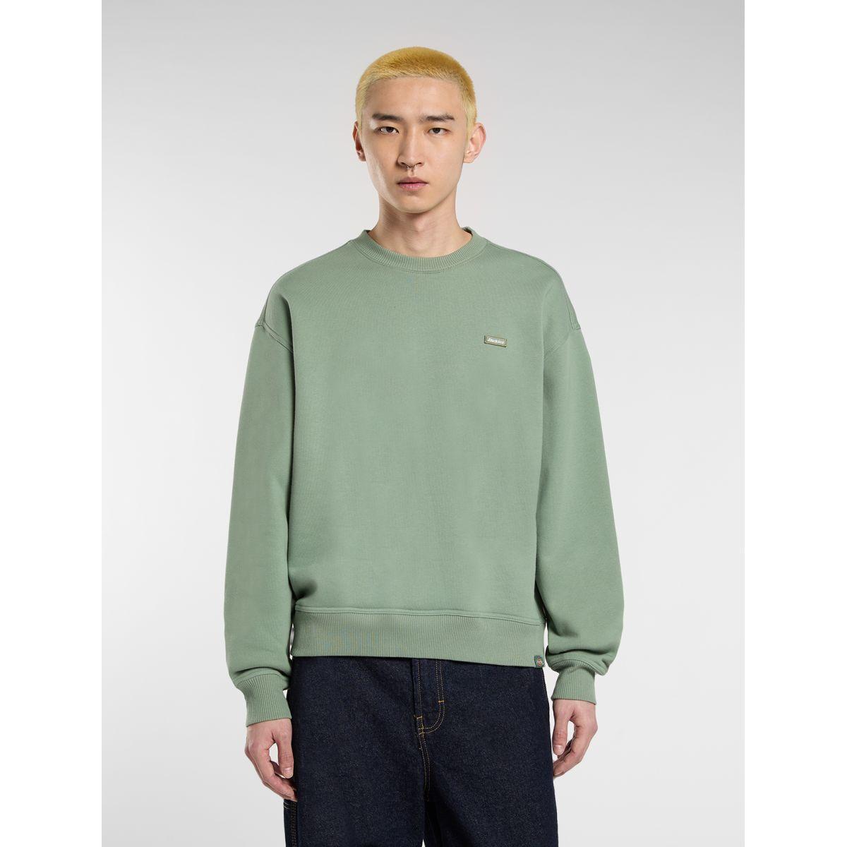 product/d/i/dickies_dk0a88bll191_sea-spray_5.jpg