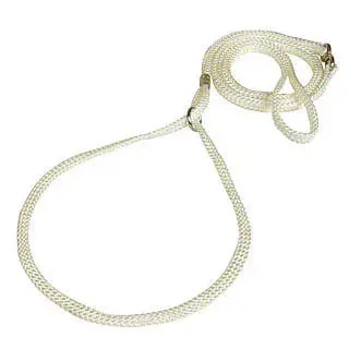 Meilleurs prix pour Laisse presentation pour chien Difac