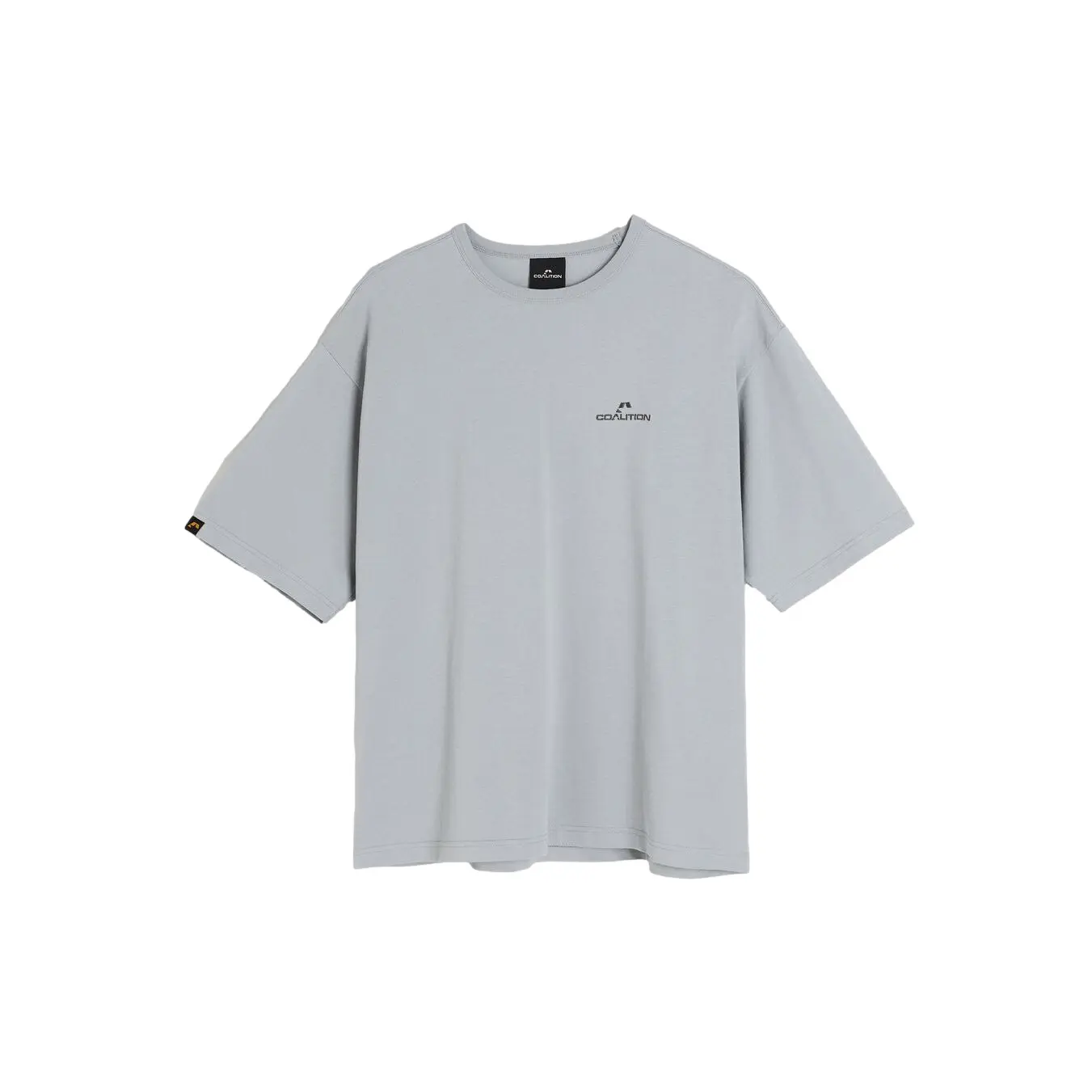 Image of Oversized T-Shirt Diverse Coalition SK8 02