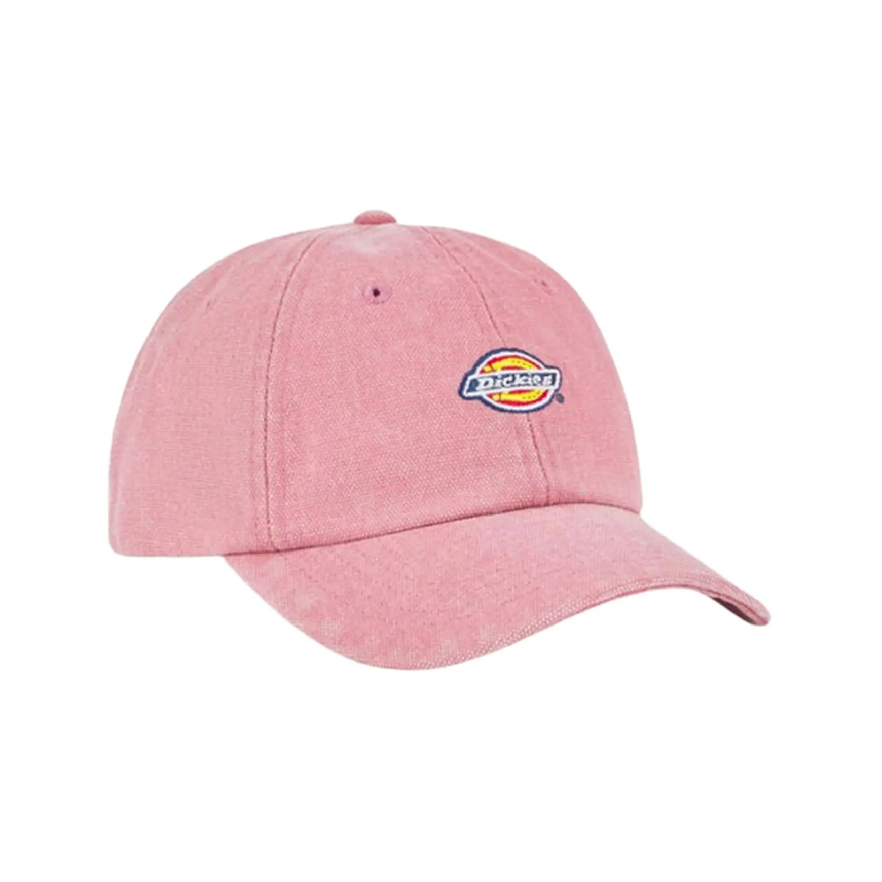 Trucker Cap Dickies Hardwick