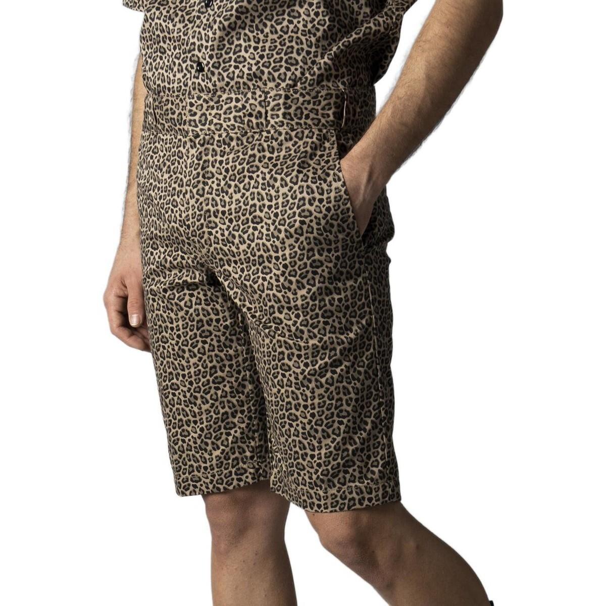 0196009110175 - Shorts Silver Firs