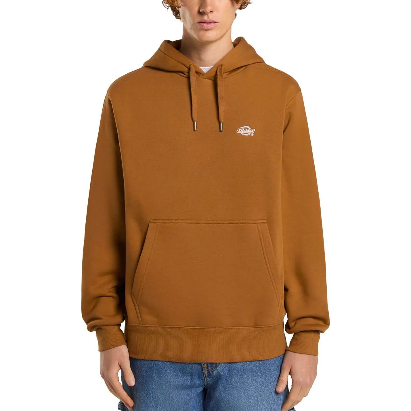 Kapuzensweatshirt Dickies Summerdale