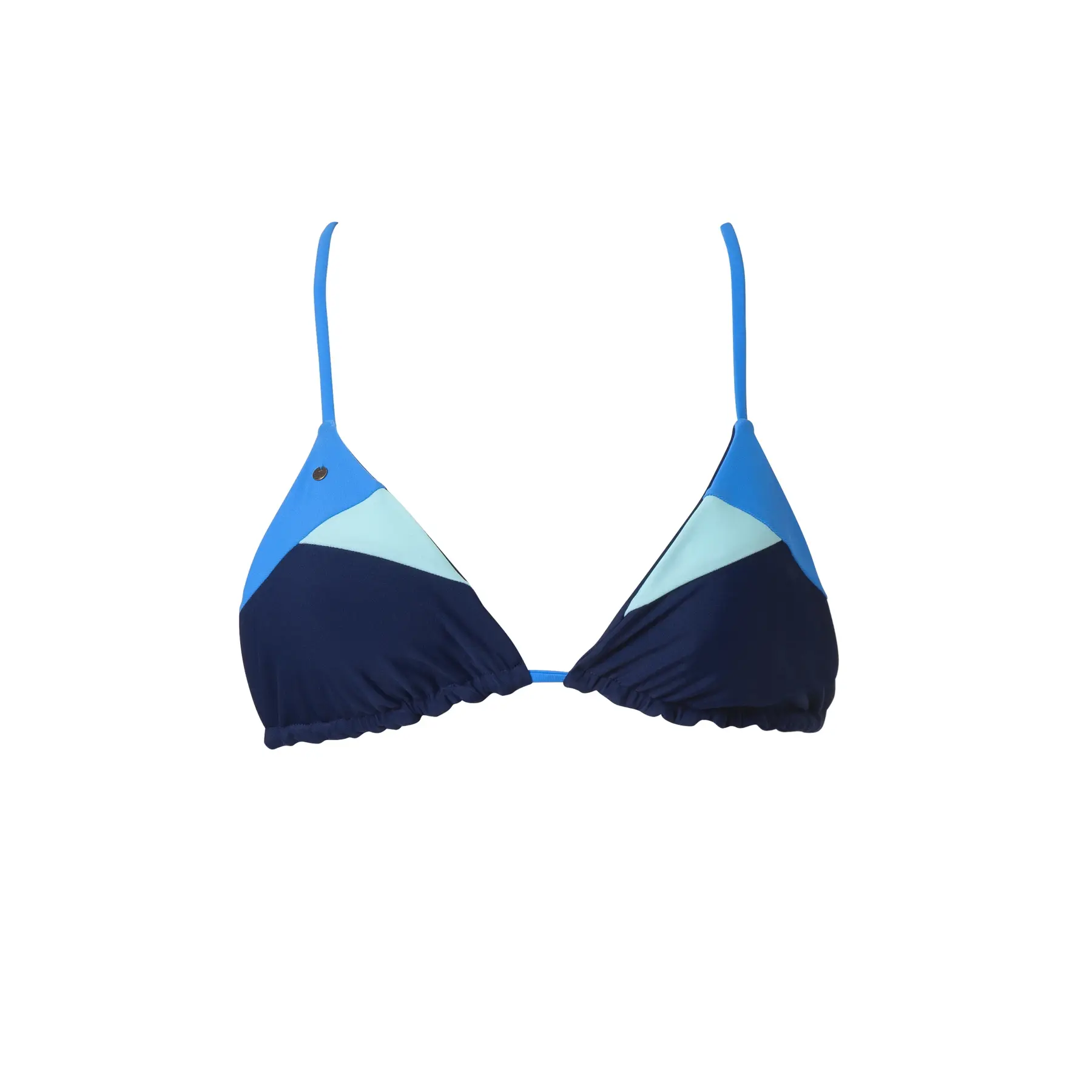 product/d/r/drapeau-rouge_d01leacobf_cosmo-ortensia-bleu-frozen_1.jpg
