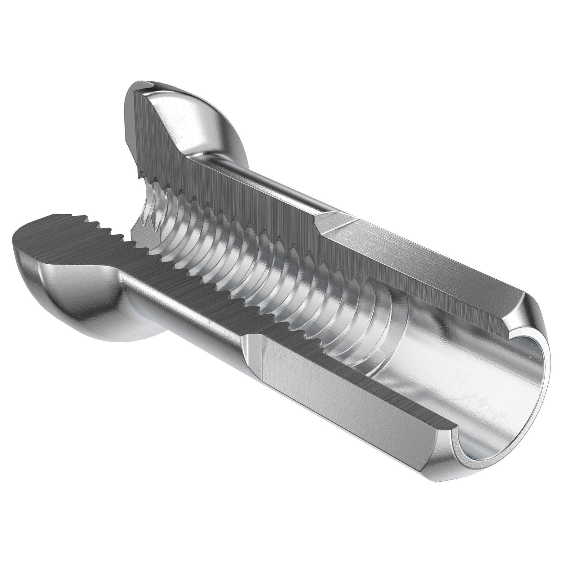 Dado di Raggio in Ottone DT Swiss: Prestazioni e Resistenza