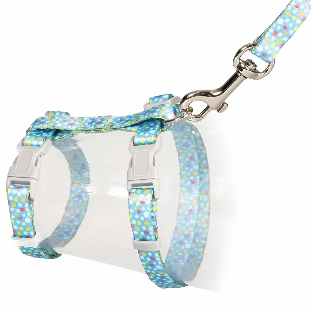 Duvoplus Multicolore Dog Leash And Harness