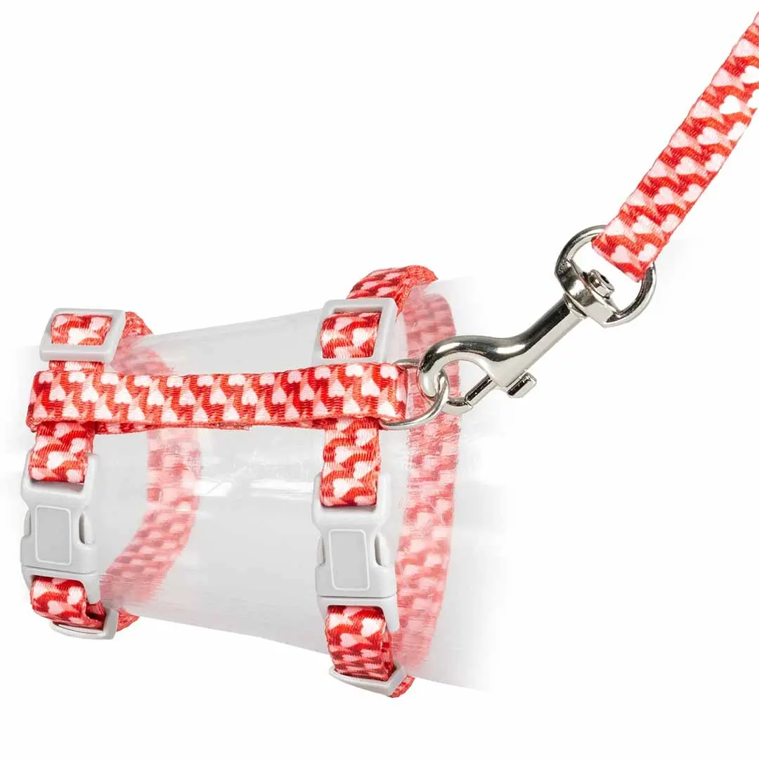 Duvoplus Multicolore Dog Leash And Harness