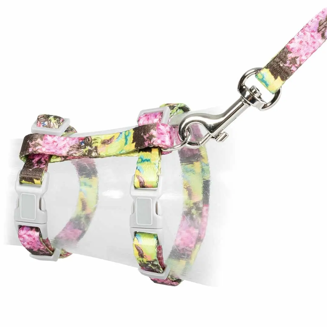 Duvoplus Multicolore Dog Leash And Harness