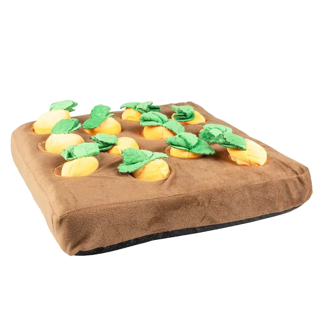 Meilleurs prix pour Tapis à renifler potager avec carrottes Duvoplus