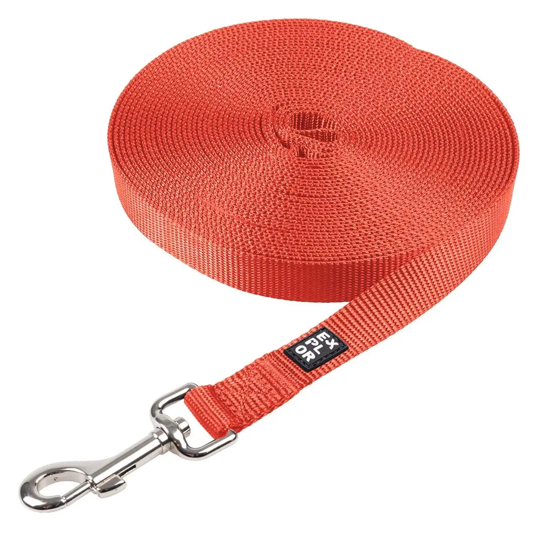 Meilleurs prix pour Laisse pour chien tracking plat Duvoplus Classic